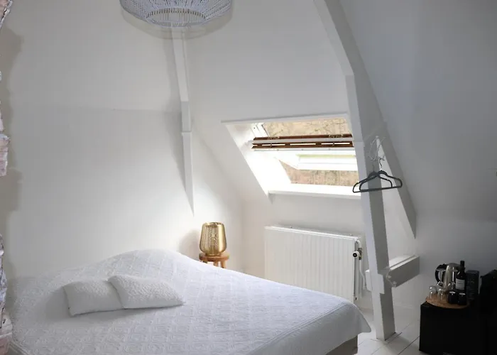 Kasteel Hoekelum Hotell *